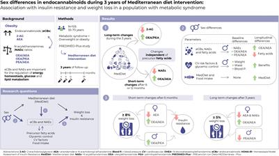 Sex differences in endocannabinoids during 3 years of Mediterranean diet intervention: Association with insulin resistance and weight loss in a population with metabolic syndrome